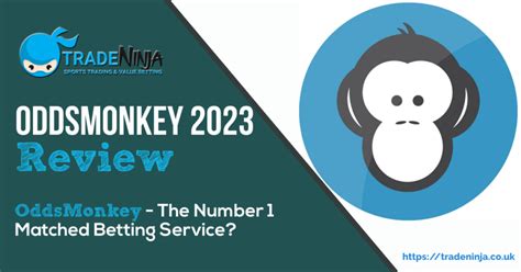 oddsmonkey review|is oddsmonkey a scam.